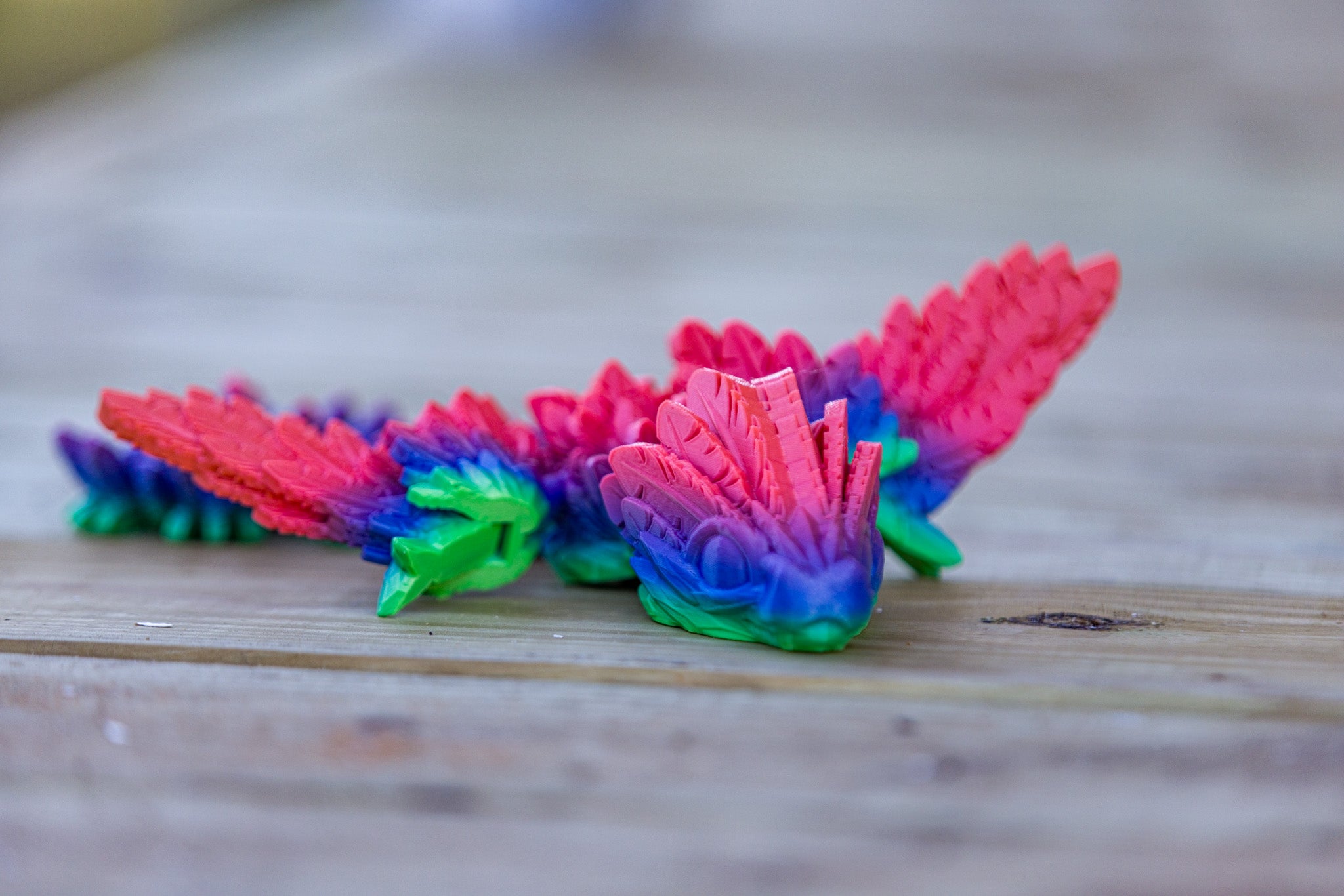 Multicolor Feather Dragon
